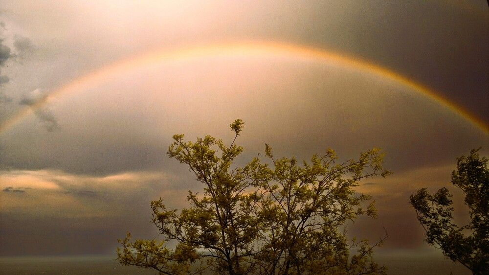 Photograph by Сергей Мамалюк