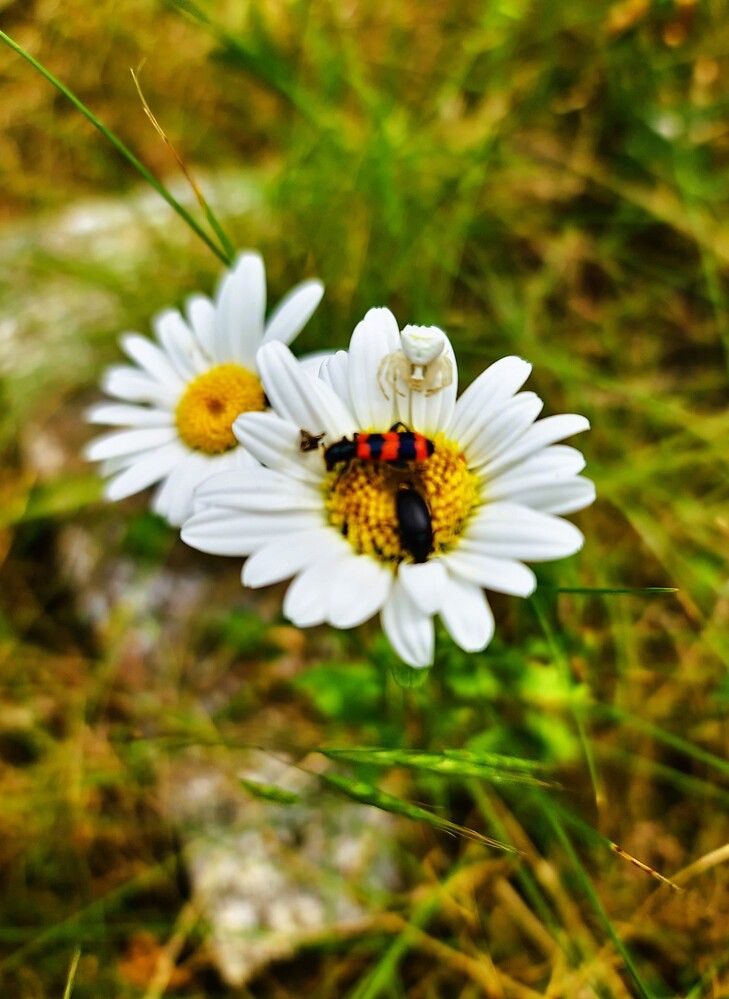 Photograph by Сергей Мамалюк