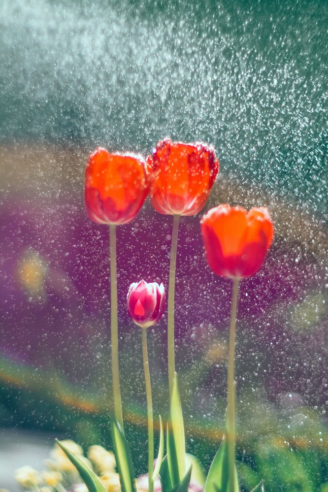 Photograph by Анастасия Северюхина