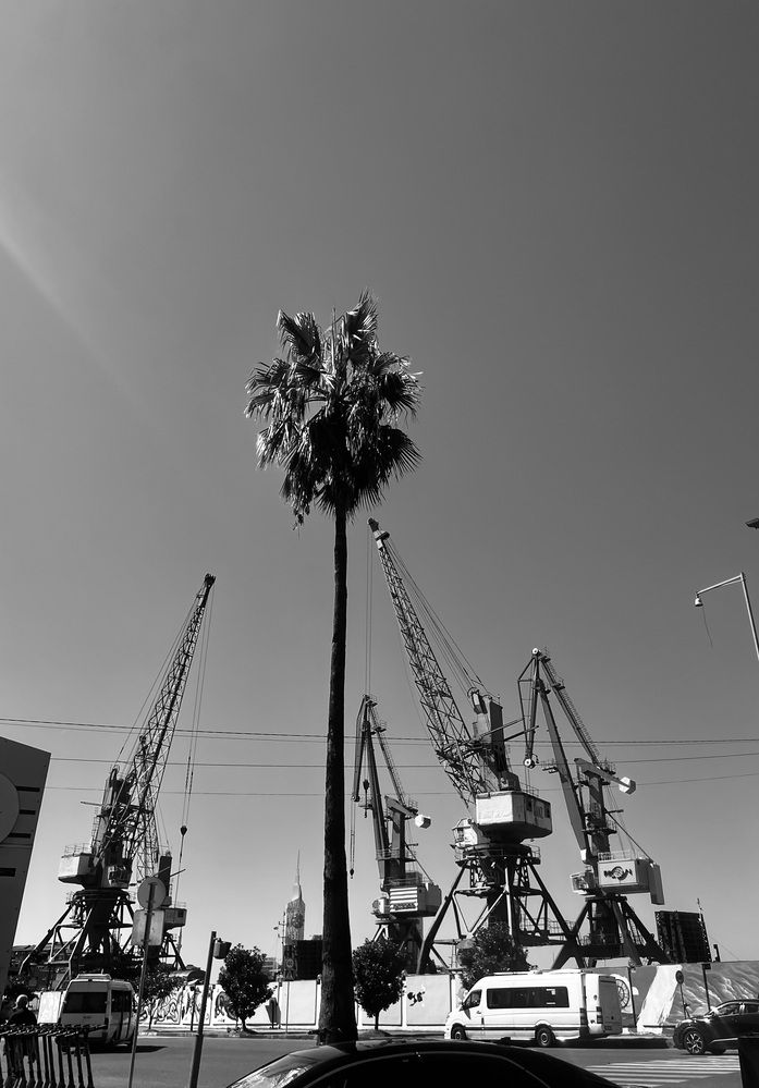 Photograph by Сюзанна