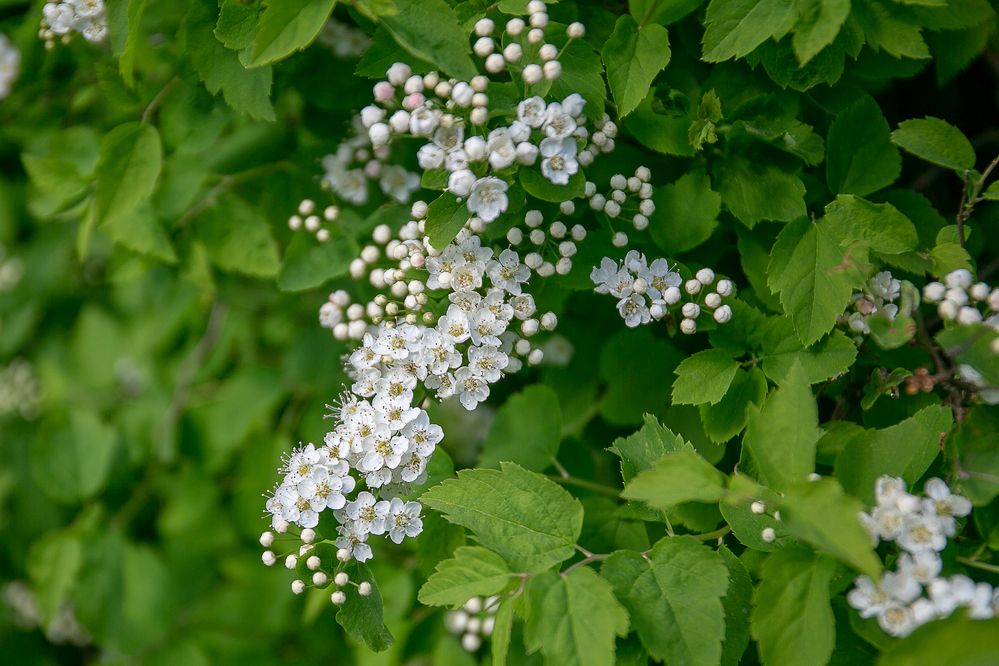 Photograph by Наталья Катюжанская