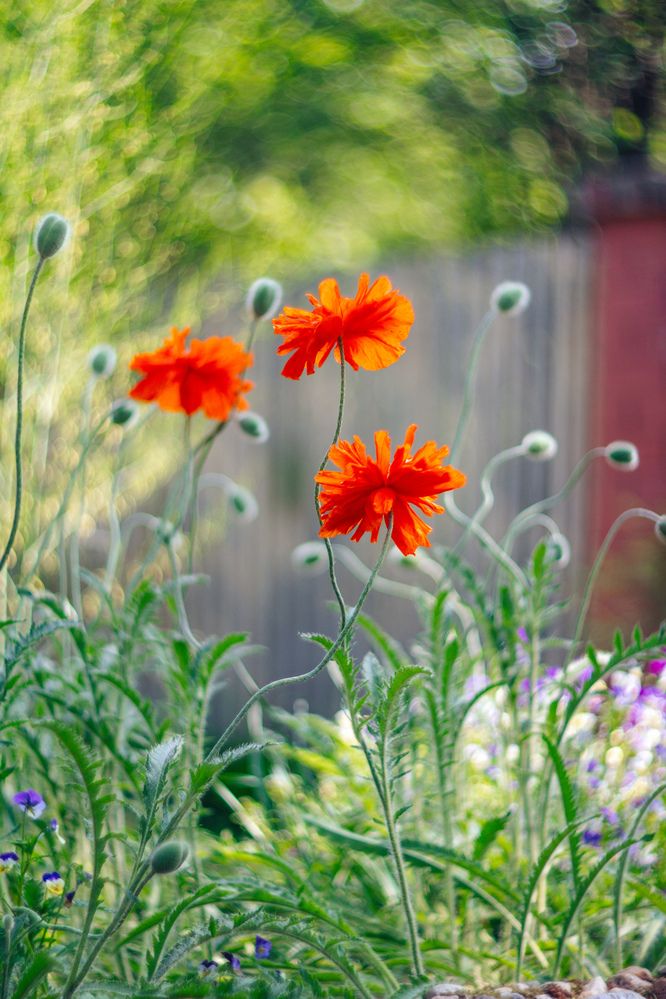 Photograph by Анастасия Северюхина