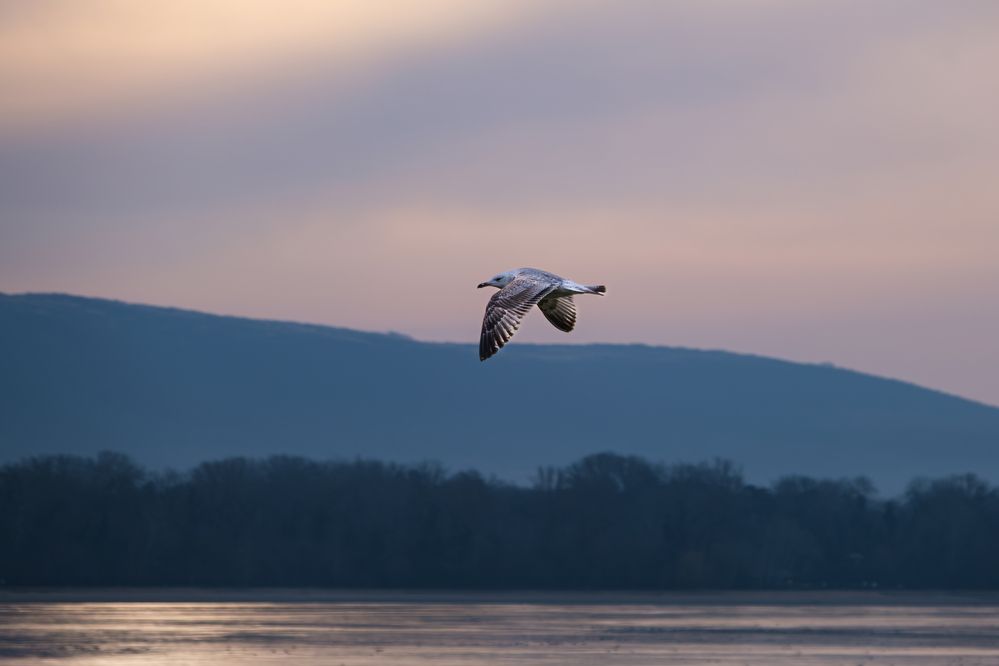 Hi! I\'m watching you!