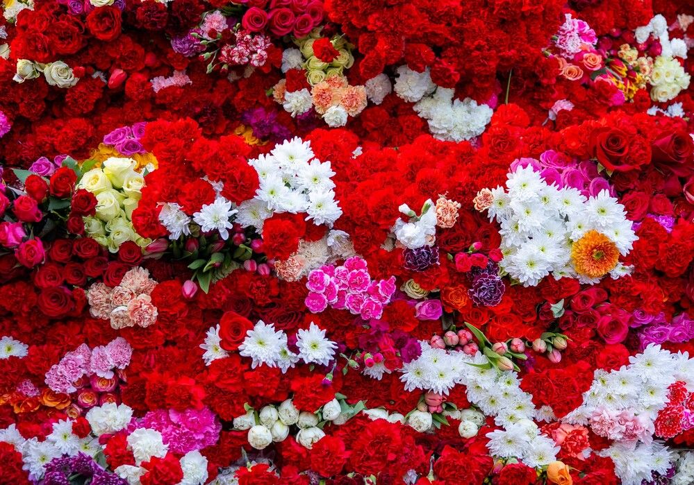 Photograph by Наталья Катюжанская