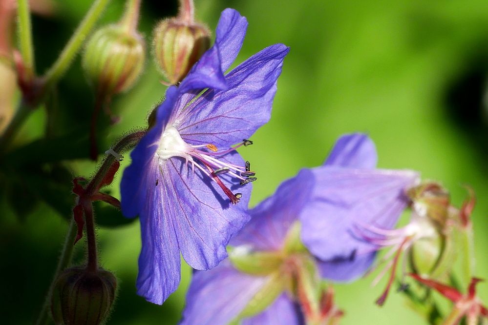 Photograph by Наталья Лобанова