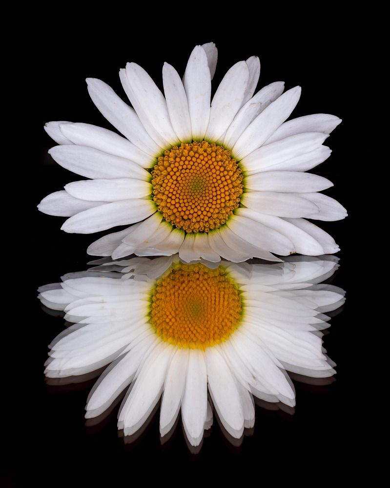 Photograph by Дмитрий Поварков