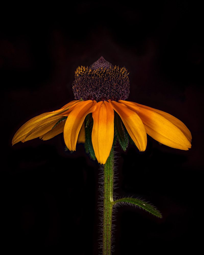 Photograph by Дмитрий Поварков