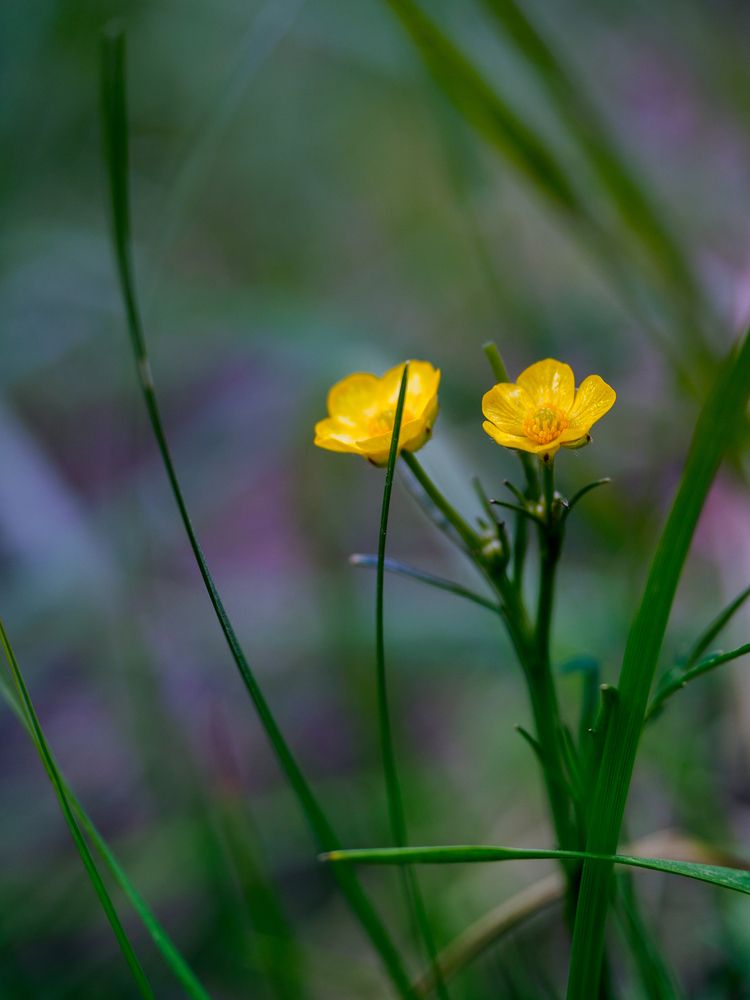 Photograph by Дмитрий Поварков