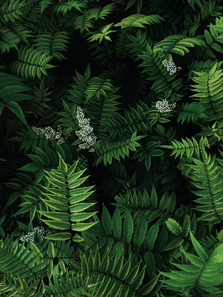 Photograph by Денис Королёв