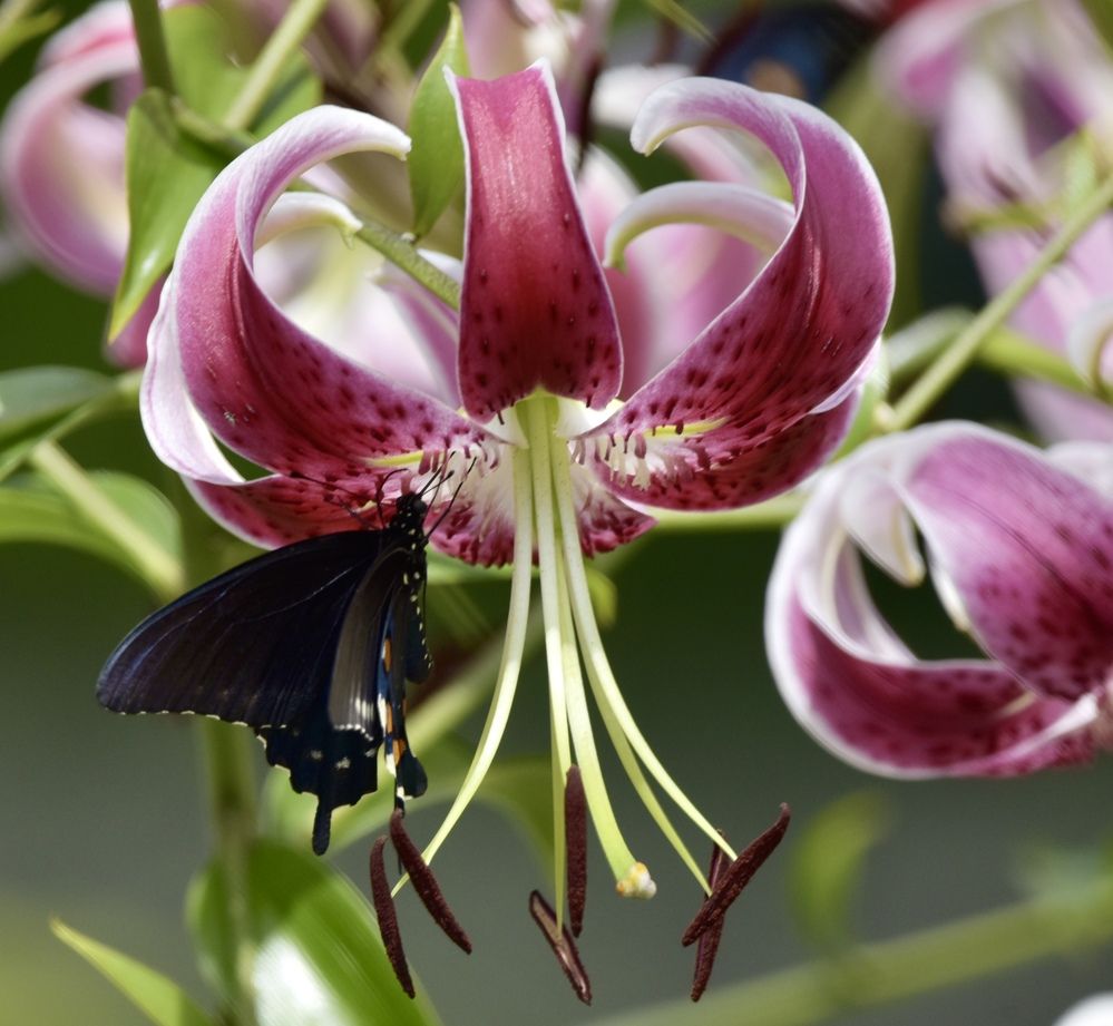 Photograph by Tyler Dewees