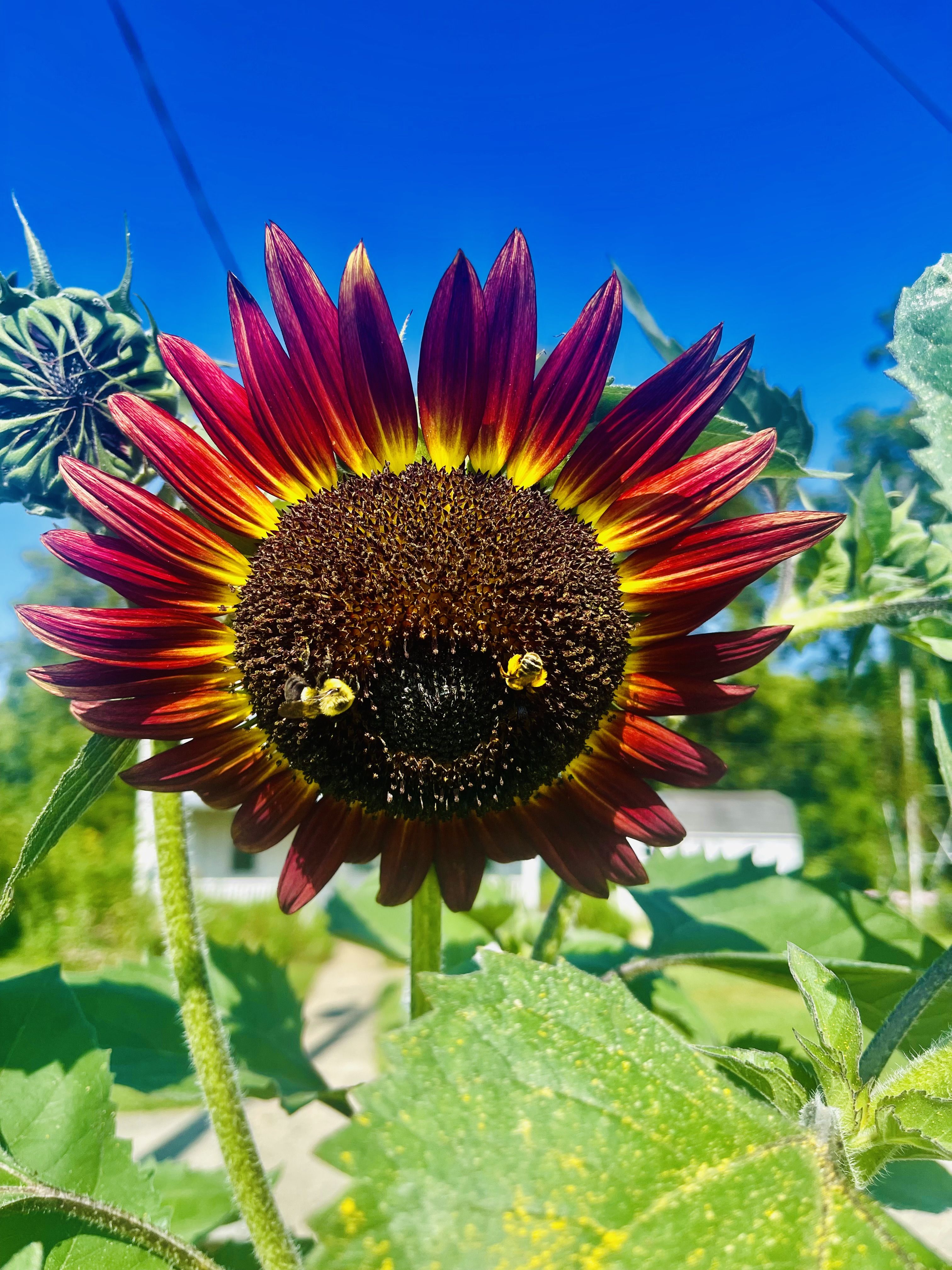 Photograph by Tyler Dewees