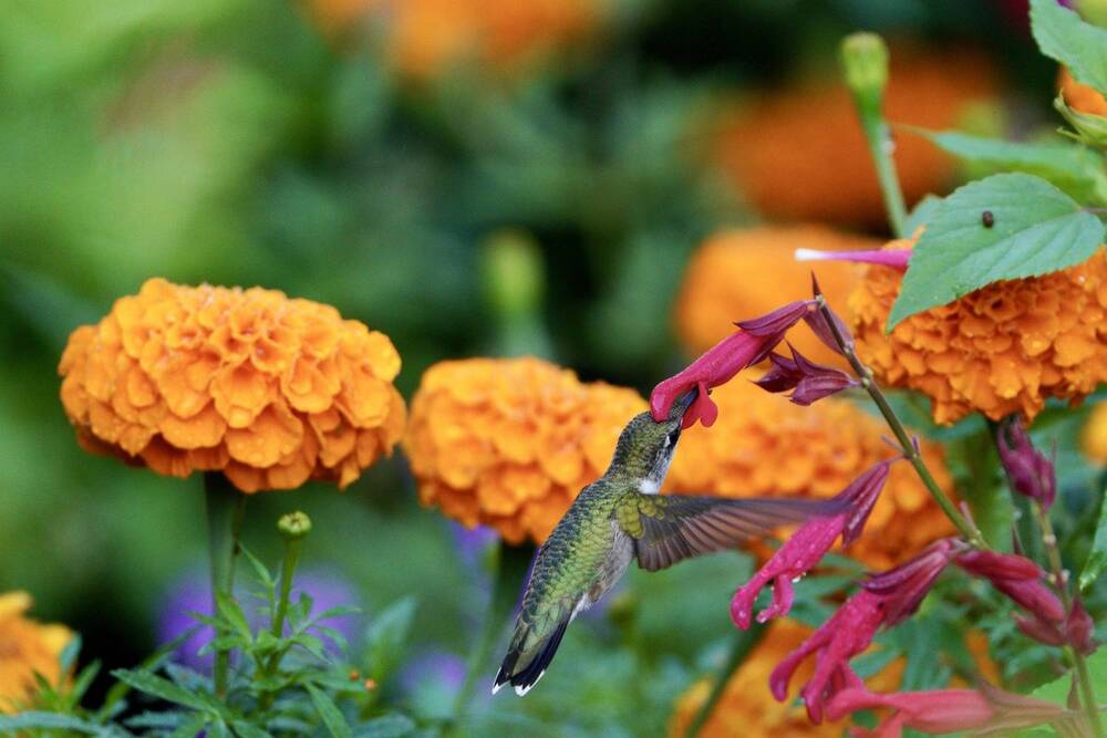 Photograph by Tyler Dewees