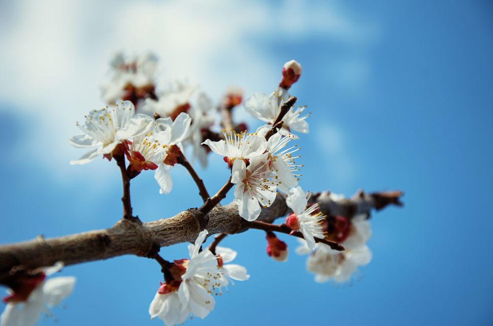 Photograph by Mikhail Kolesnik