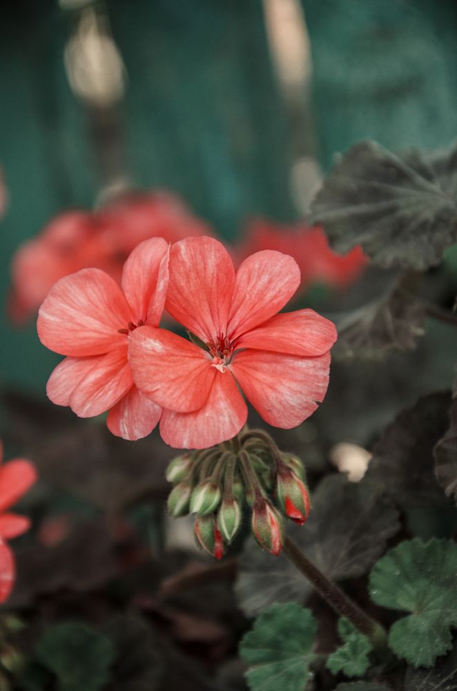 Photograph by Mikhail Kolesnik