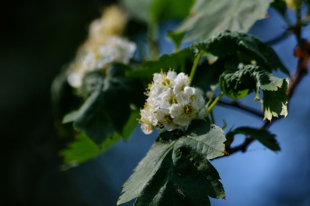 Photograph by Эд Голиков