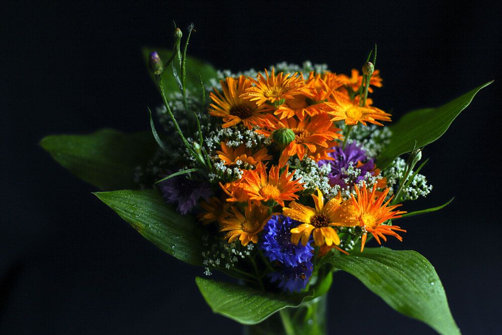 Photograph by Ольга Колобова