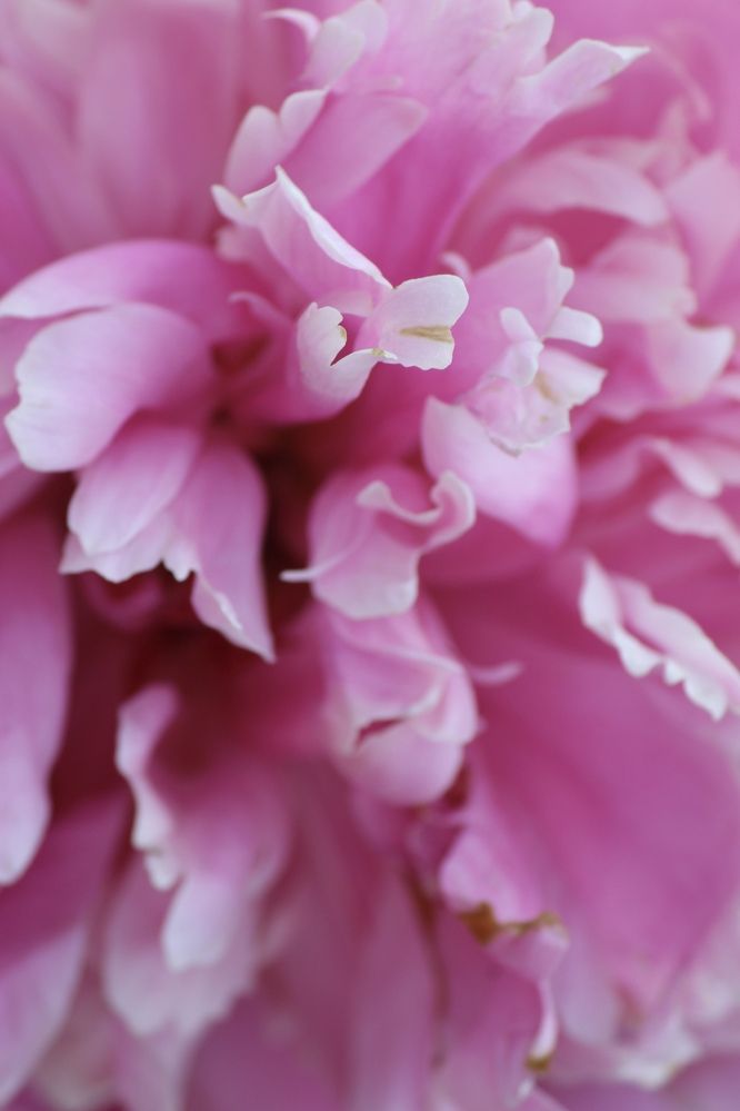 Photograph by Юлия Немцова