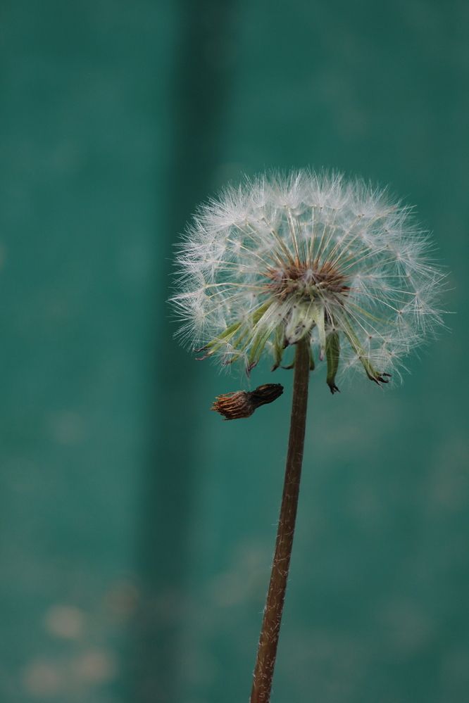 Photograph by Юлия Немцова