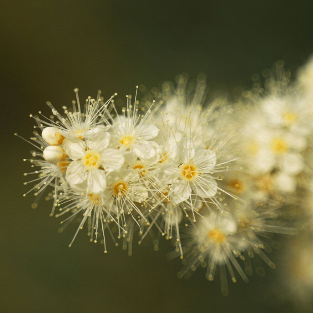 Photograph by Ольга Колобова