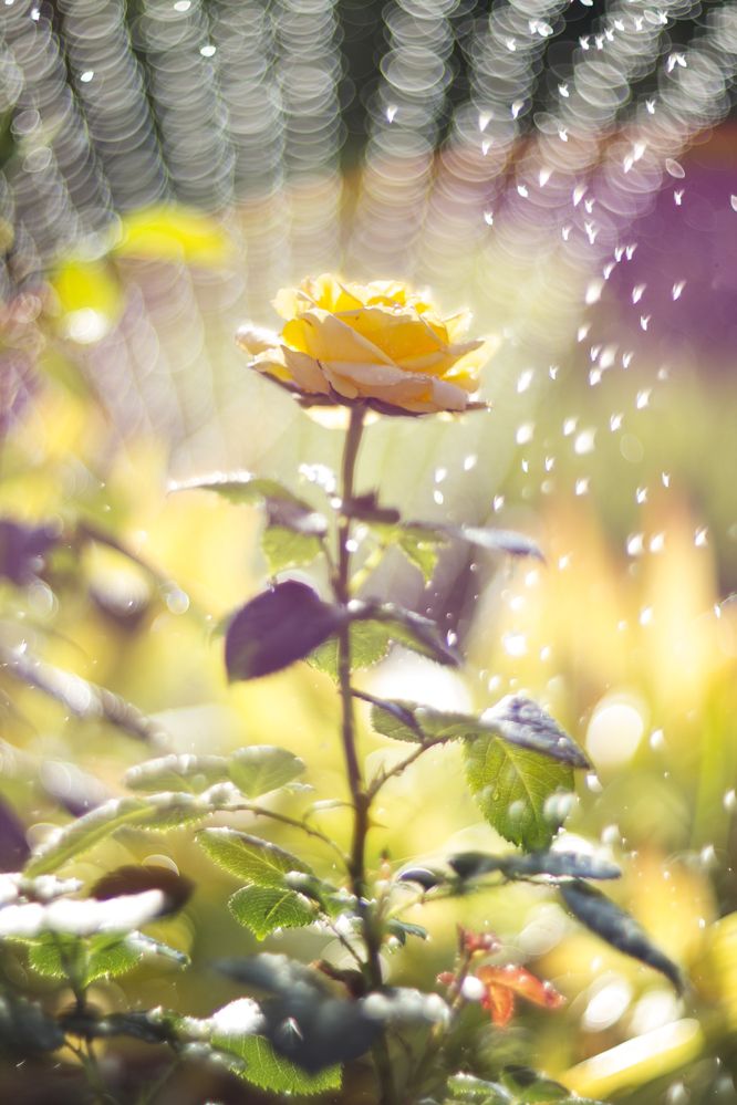 Photograph by Анастасия Северюхина