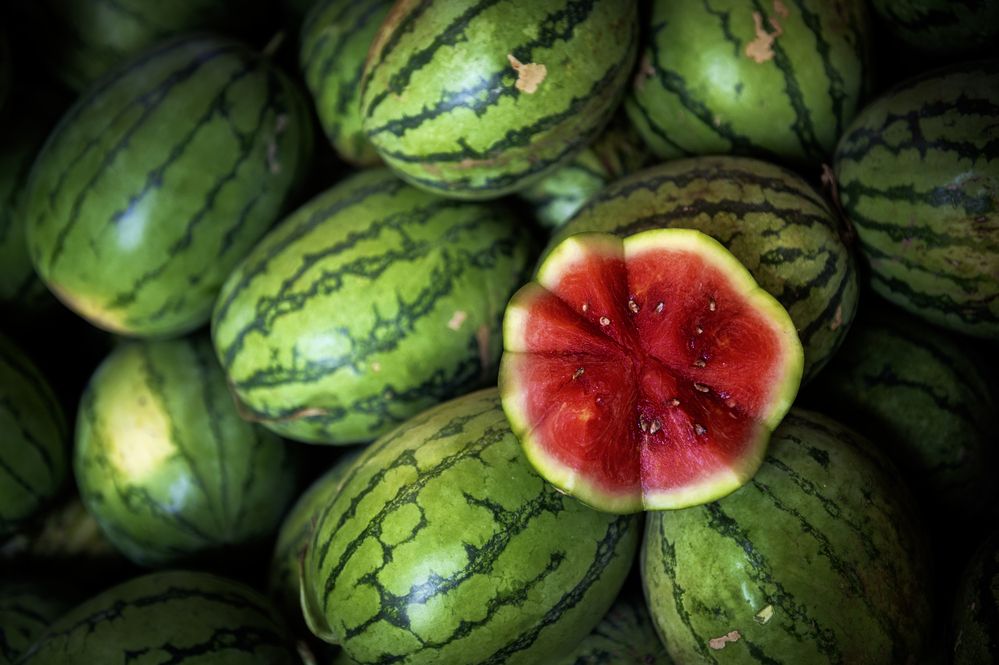 Photograph by Irina Grigoryeva