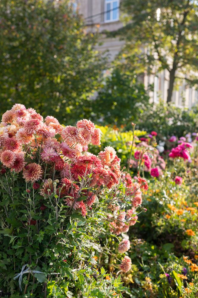 Фотография автора Ольга Степанова