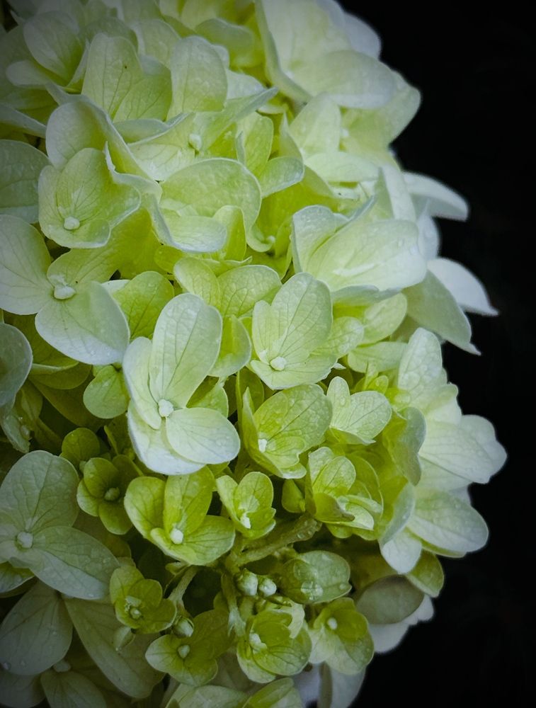 Photograph by Картунова Светлана