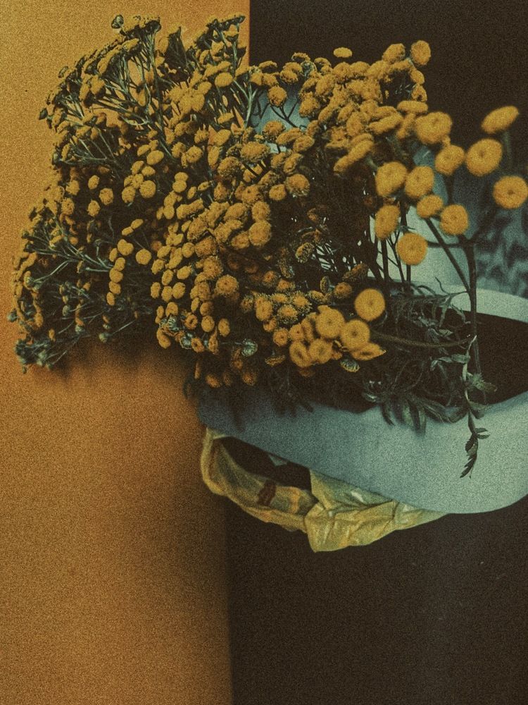 Фотография автора Анастасия