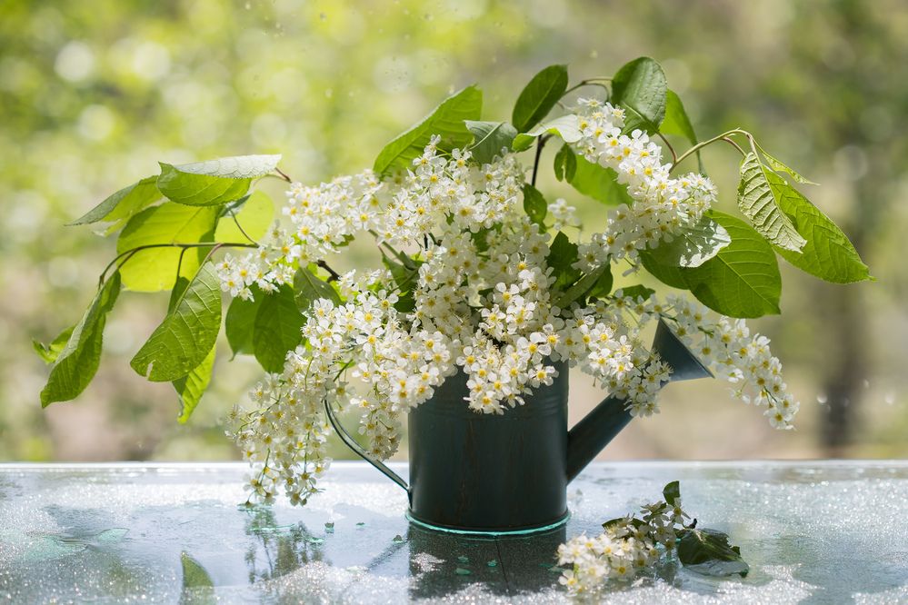 Photograph by Ольга Колобова