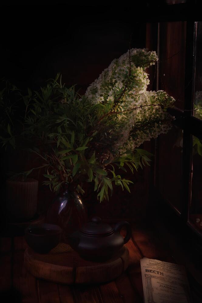 Photograph by Елена Мулькова