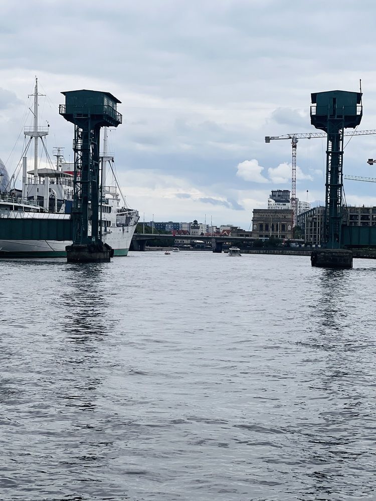 Photograph by Kira Ko