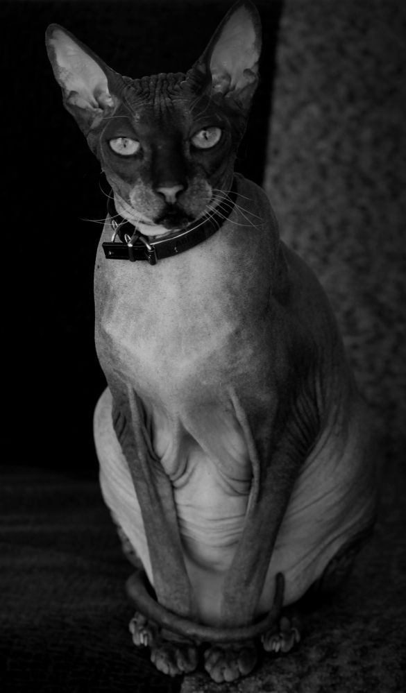 Photograph by Зоя Быкова