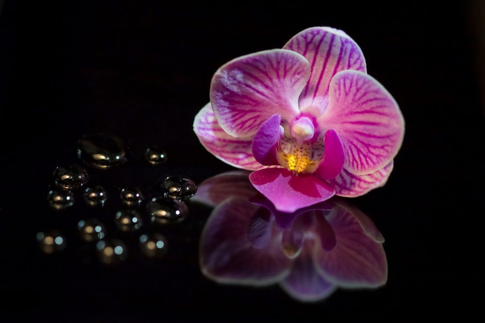 Photograph by Ольга Колобова