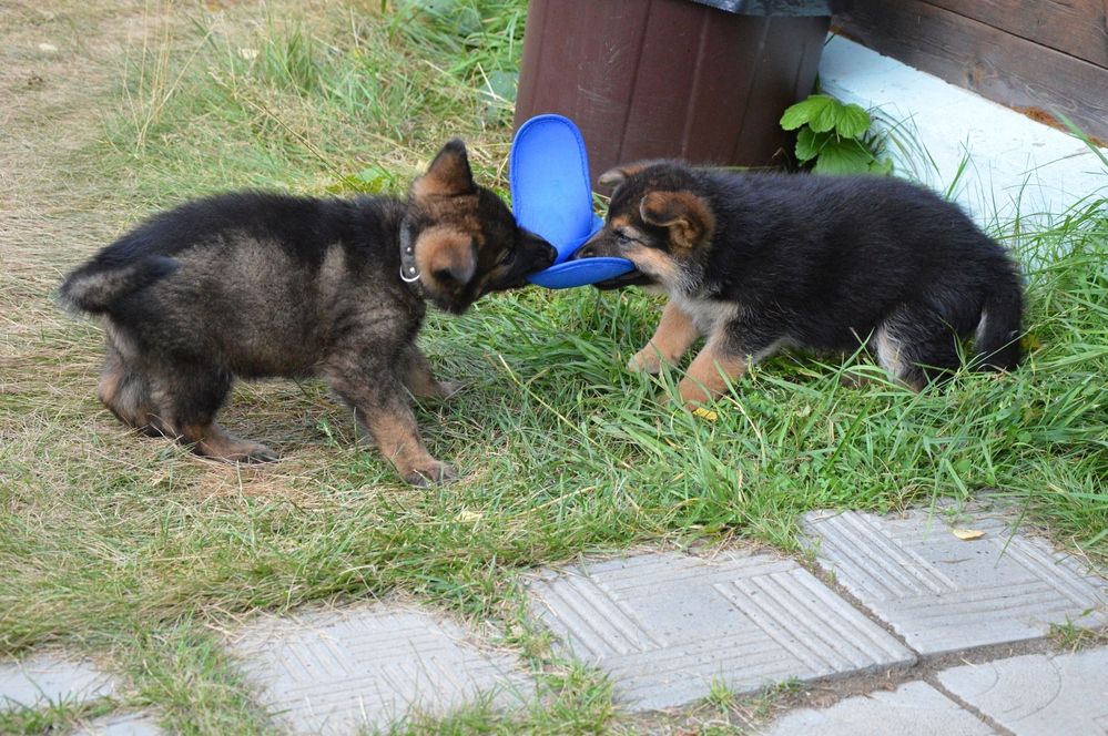 Photograph by Елена Савчук