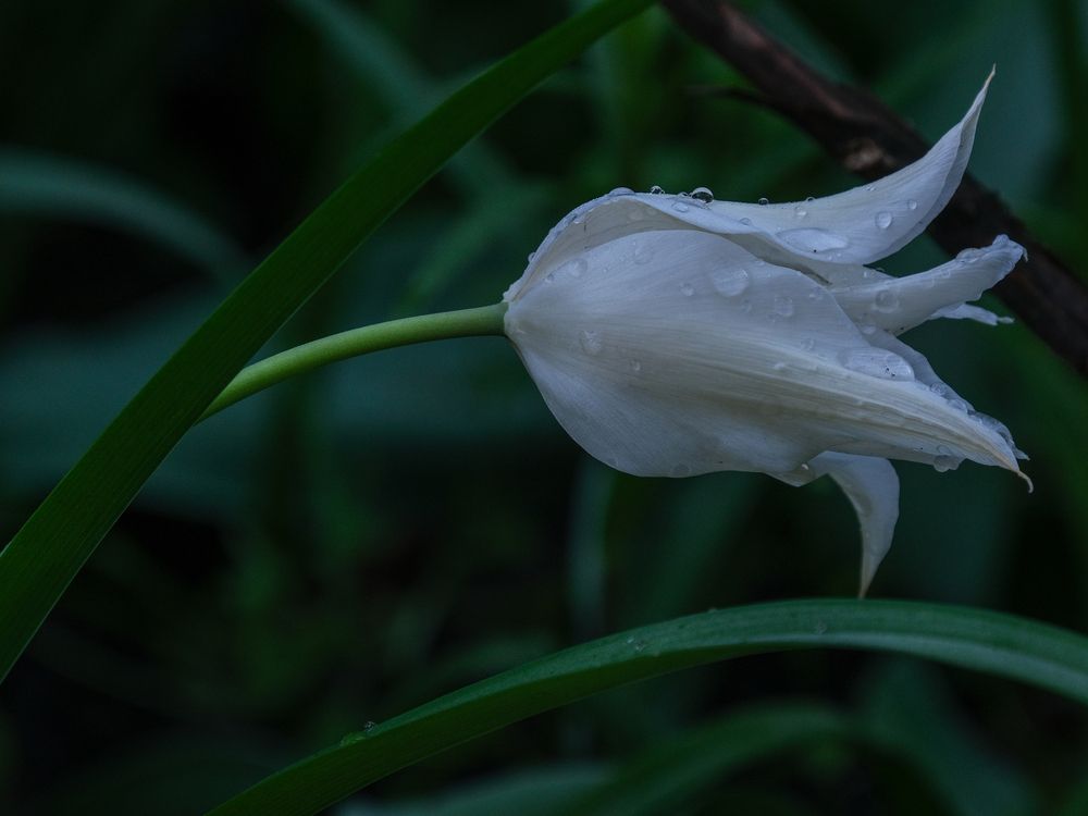 Photograph by Ирина Дегтярева