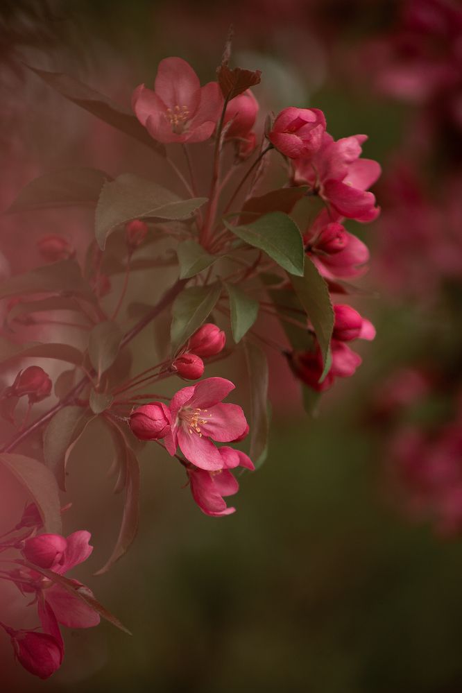 Photograph by Елена Гостева