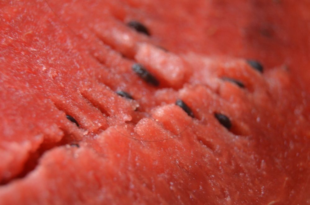 Photograph by Valentina