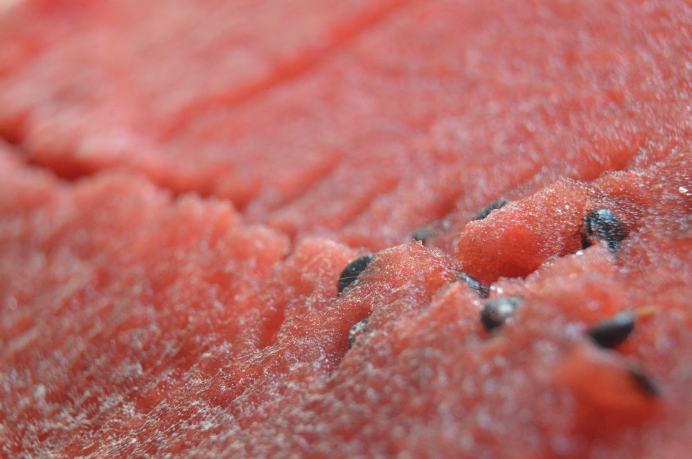 Photograph by Valentina