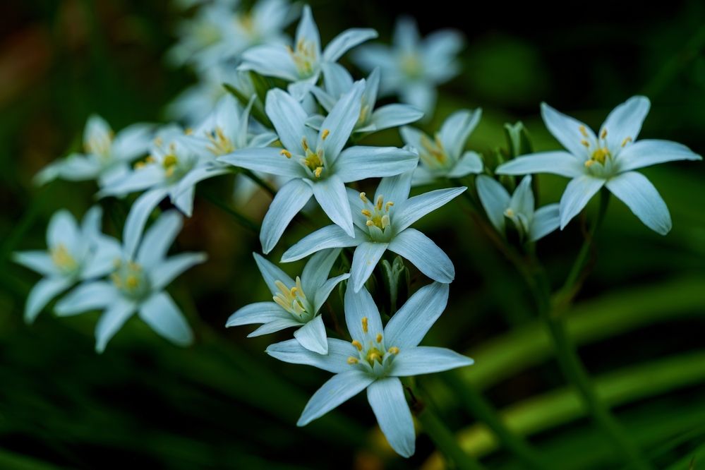 Photograph by Михаил Косолапов