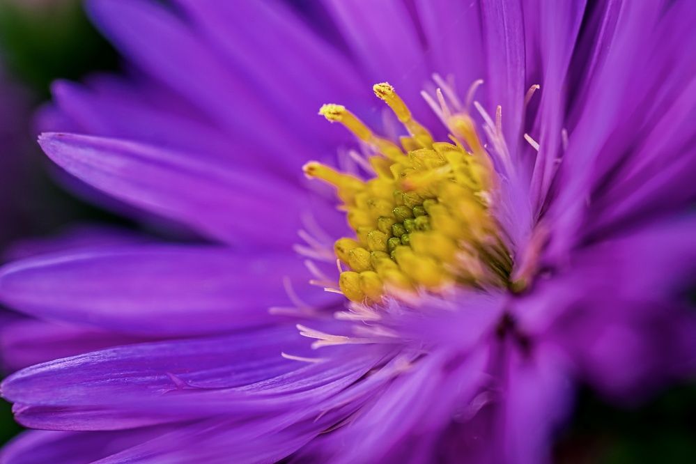 Photograph by Peter Pochyly