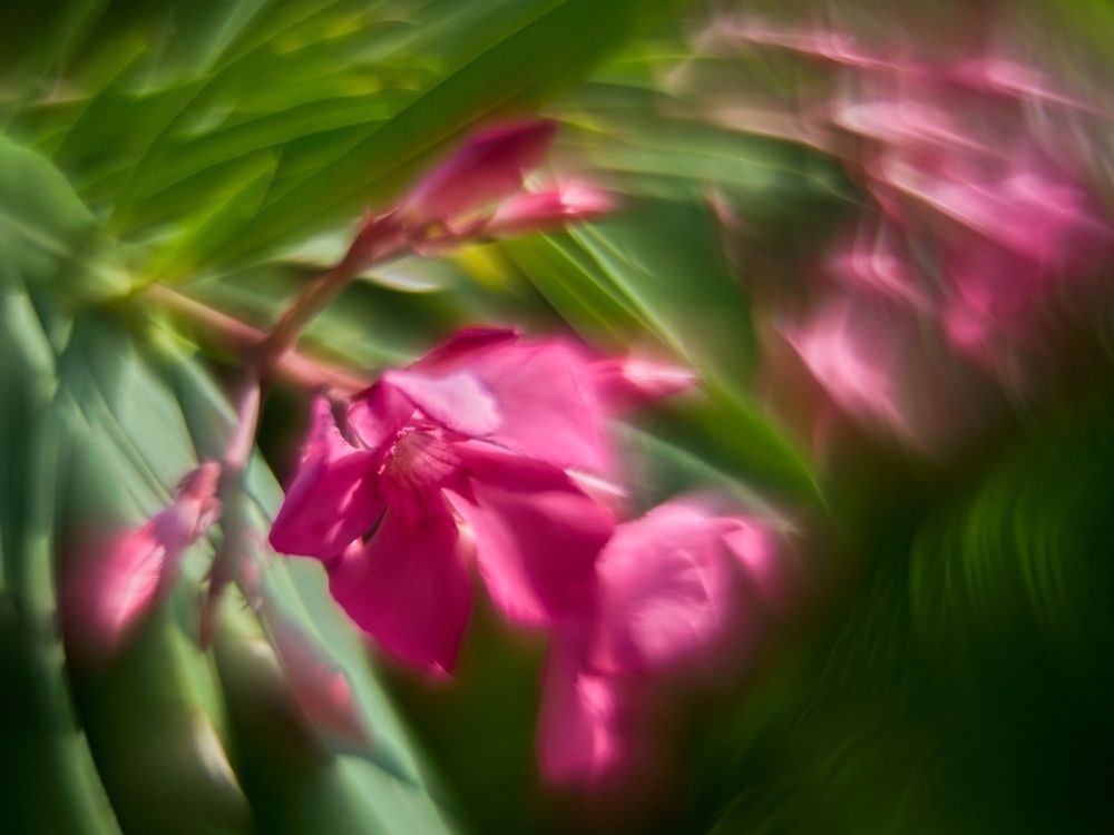 Photograph by Peter Pochyly