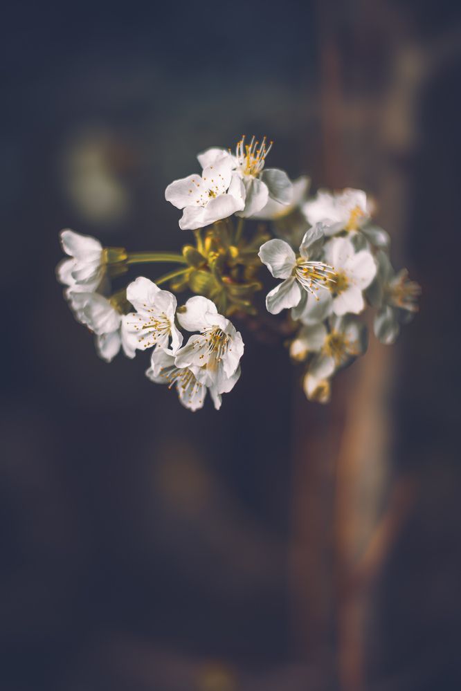 Фотография автора Mehran