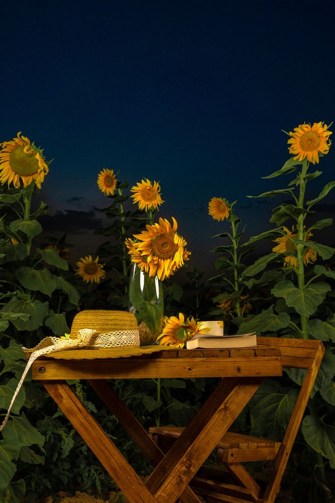 Фотография автора Mehran