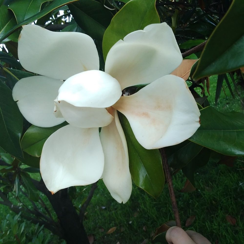 Photograph by Васильева Львовна