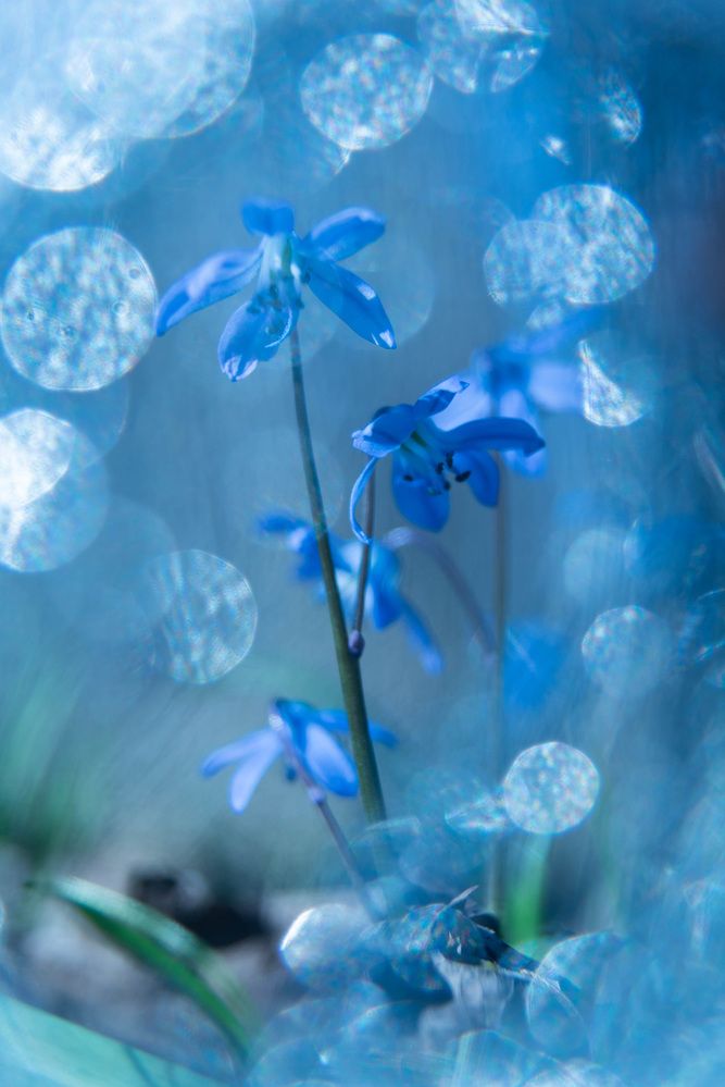 Photograph by Александр Щербаков