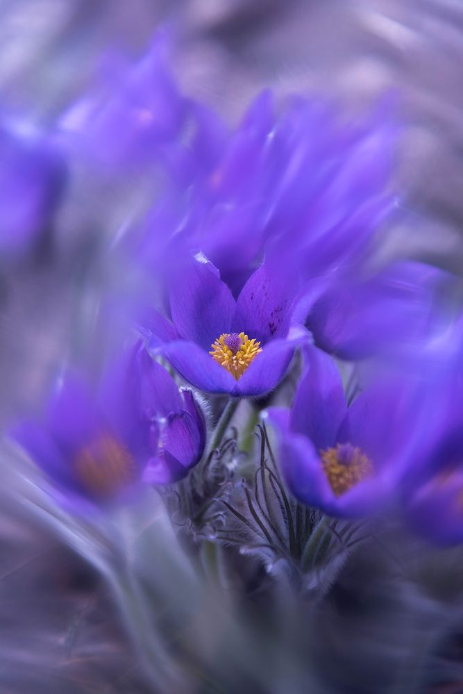 Photograph by Александр Щербаков