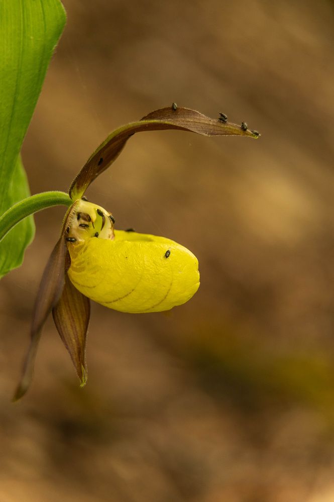 Photograph by Александр Щербаков