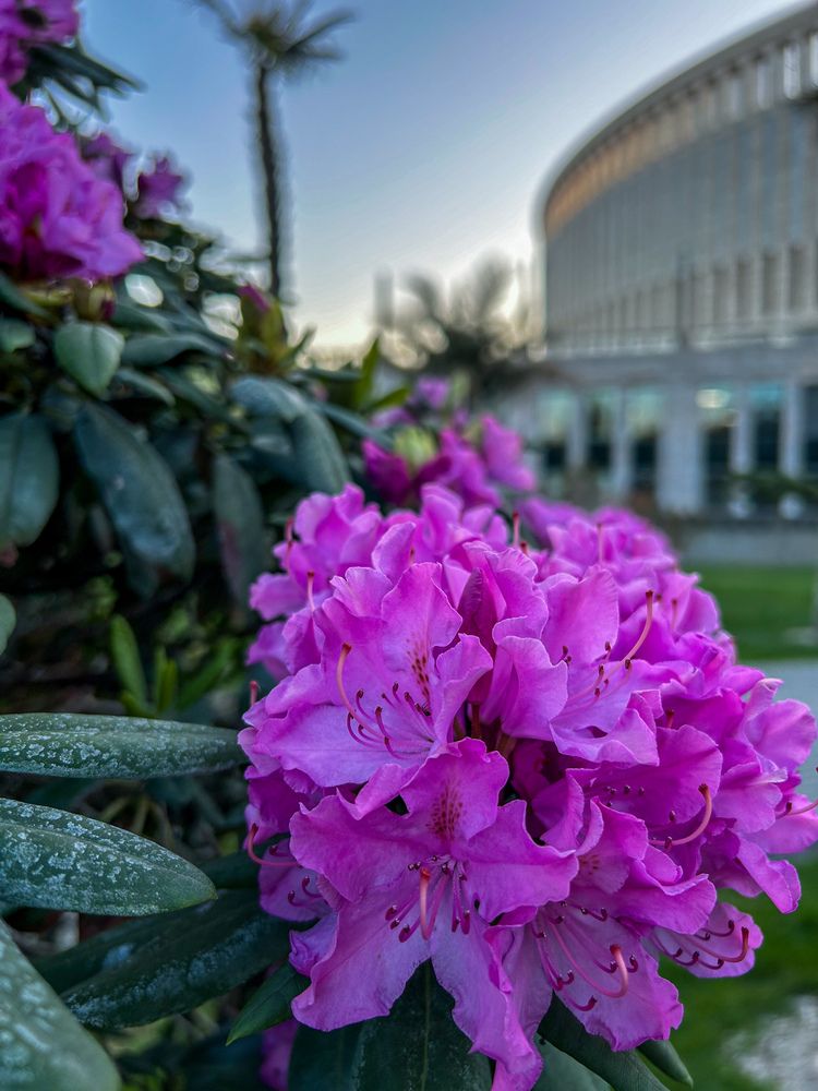 Photograph by Татьяна Шмакова