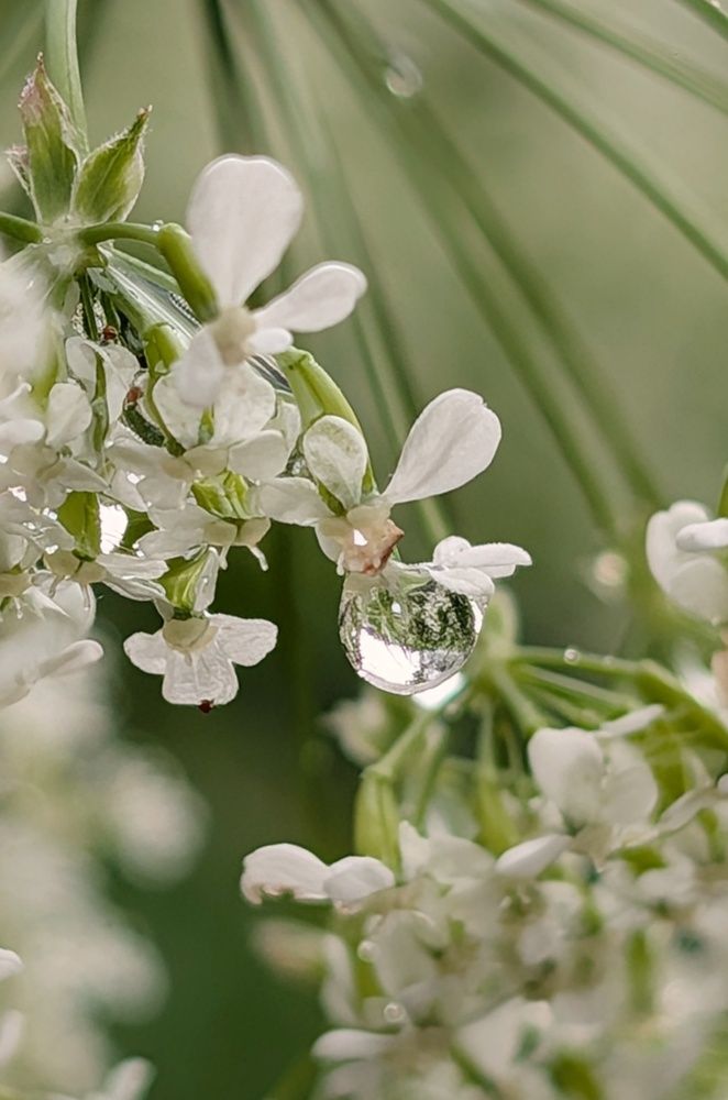 Photograph by Наталья Горовых