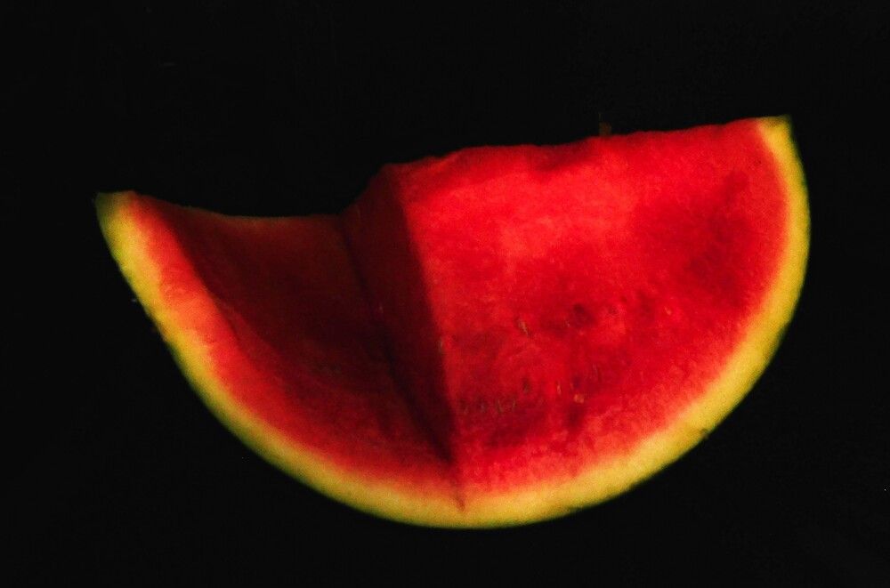 Photograph by HECTOR ANTONIO RAUCHS